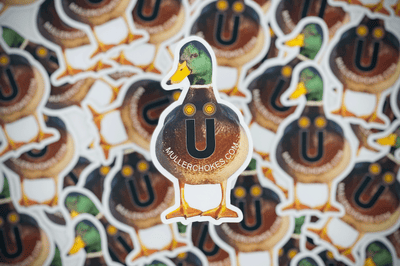 Mallard Duck Sticker Decal